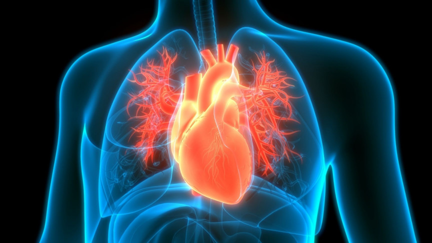 A new pacemaker can reverse heart failure by listening to the lungs - Vimarsana News