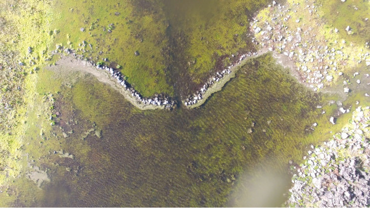 Australian Bushfires Unveil Ancient Aquatic System Older Than the Pyramids Australian Bushfires Unveil Ancient Aquatic System Older Than the Pyramids