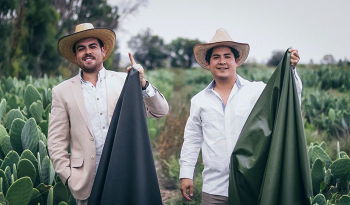 We Can Create Leather From Cacti to Save Animals and the Environment We Can Create Leather From Cacti to Save Animals and the Environment