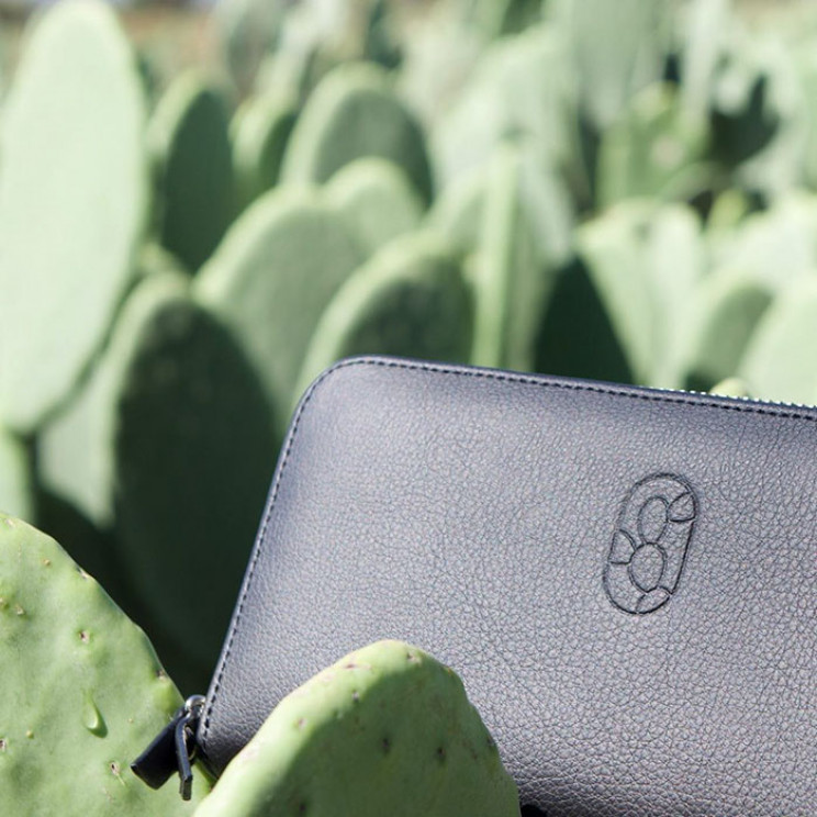 We Can Create Leather From Cacti to Save Animals and the Environment We Can Create Leather From Cacti to Save Animals and the Environment