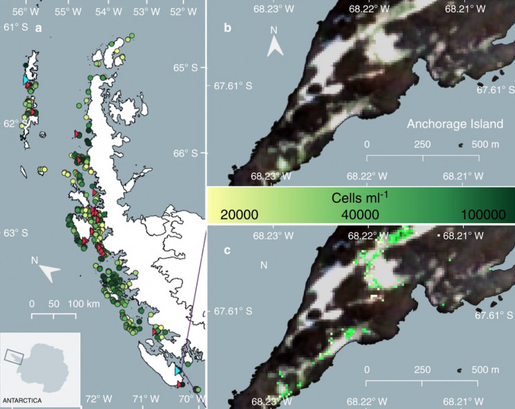 Antarctica is Turning Green, but What Are the Implications? Antarctica is Turning Green, but What Are the Implications?
