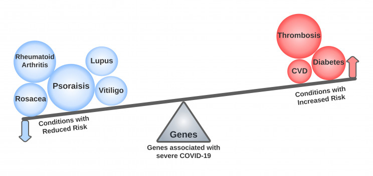 Shared gene variants could reveal novel COVID-19 treatment methods Shared gene variants could reveal novel COVID-19 treatment methods
