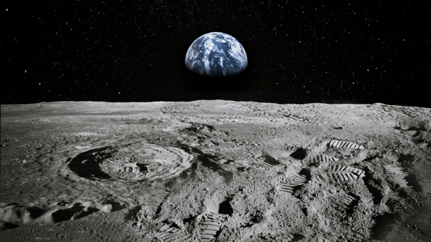 Scientists grow plants in soil samples collected from the Moon - Vimarsana News