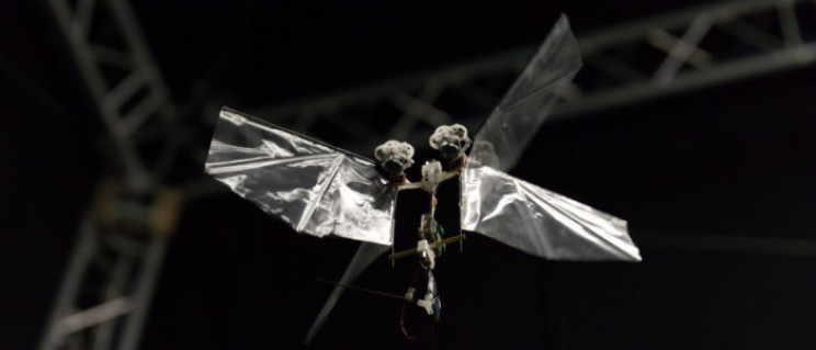 smallest camera delfly