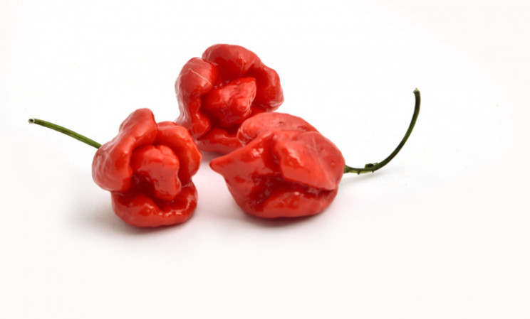 Eat Chili Peppers, Live Longer, Says Study Eat Chili Peppers, Live Longer, Says Study
