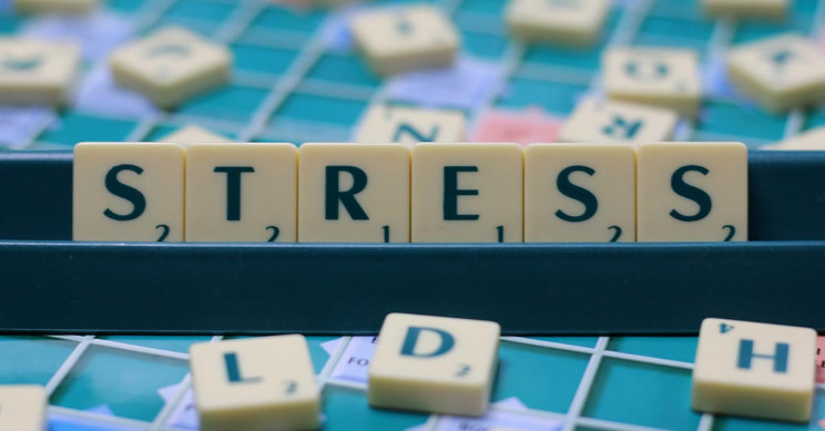 Stress Stress