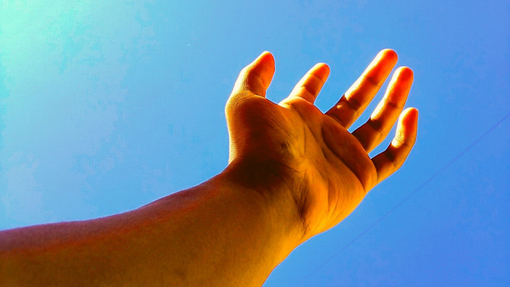 Scientists Say Humans May be Able to Grow Another Limb