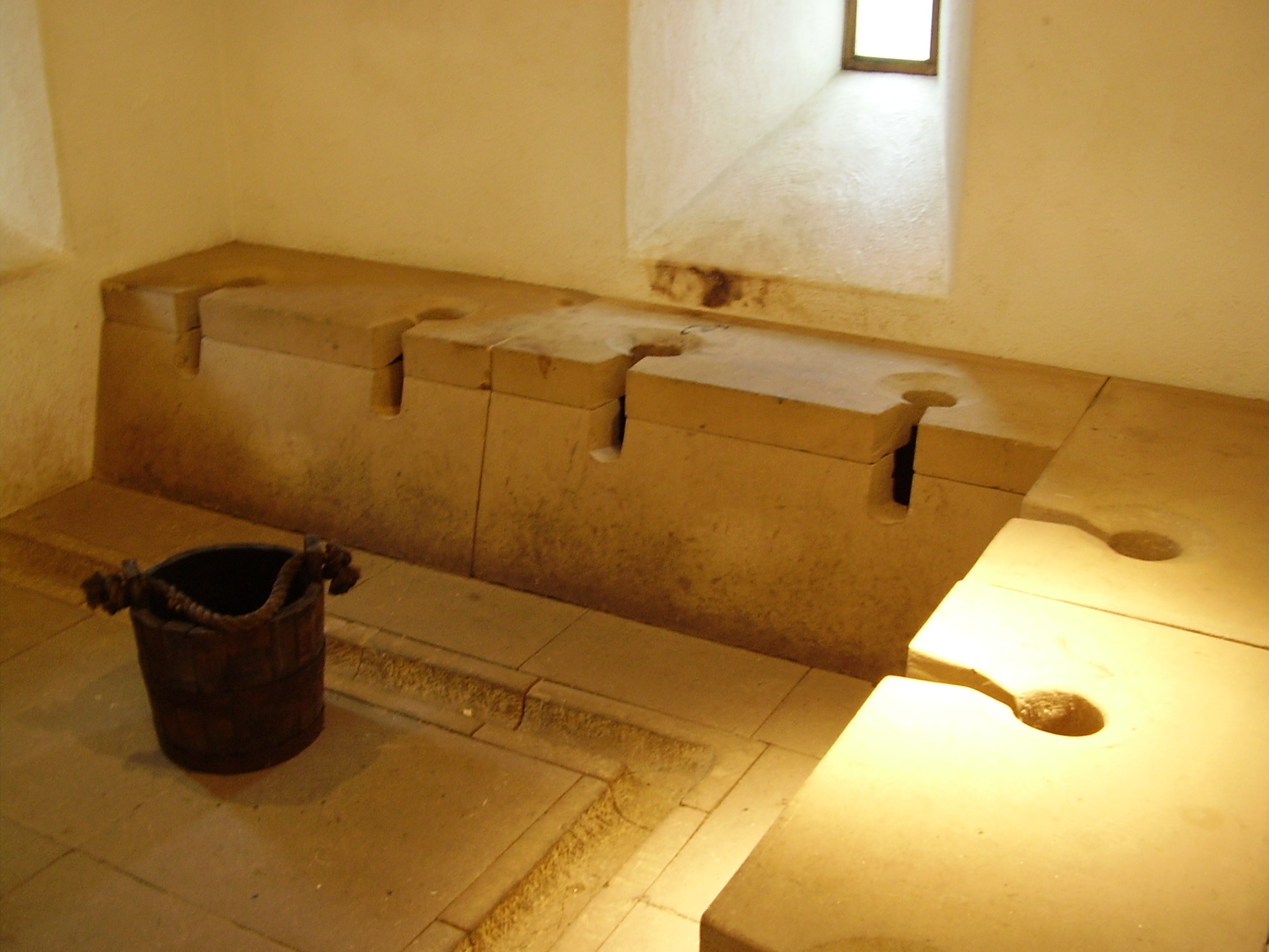 How the Toilet Saved Countless Lives How the Toilet Saved Countless Lives