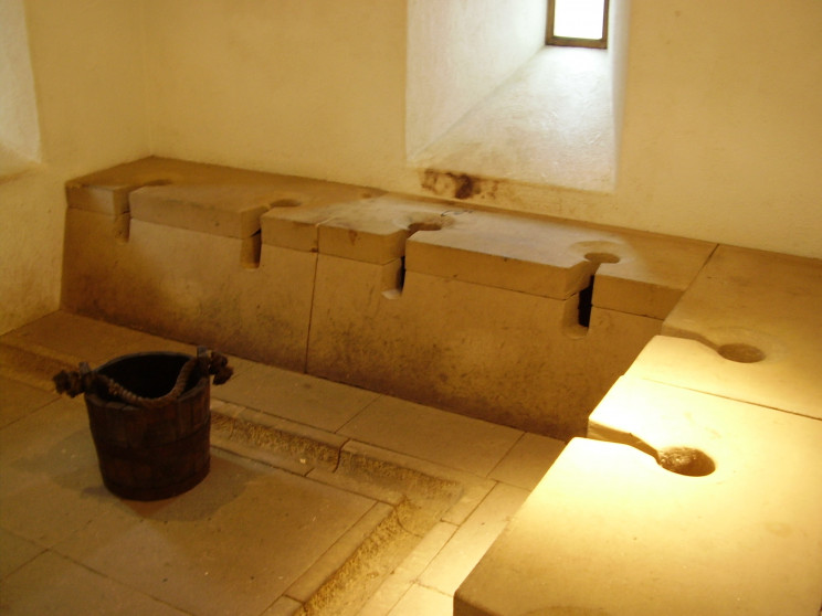 How the Toilet Saved Countless Lives How the Toilet Saved Countless Lives