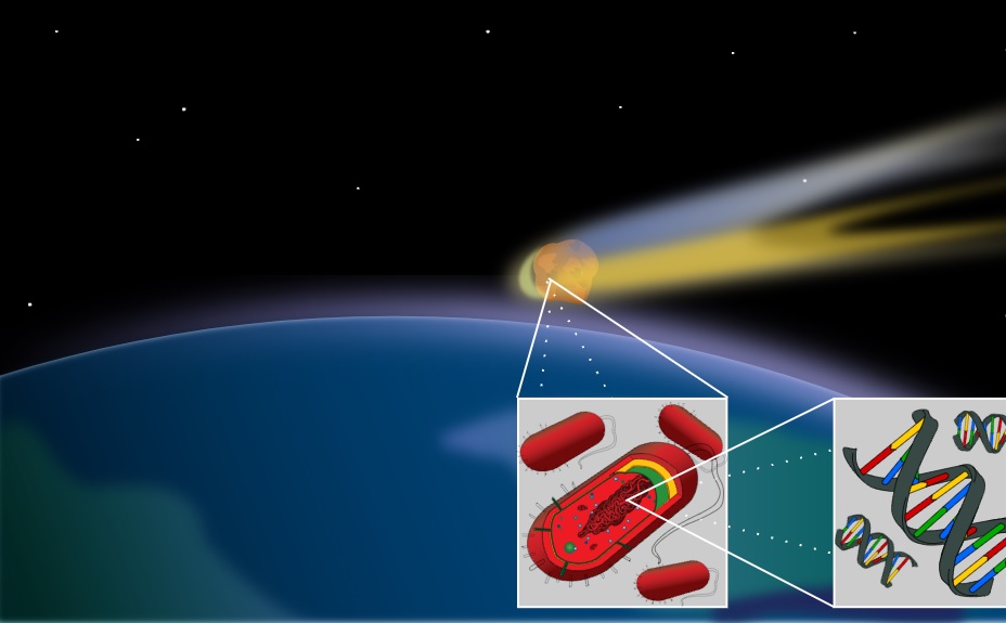bacteria panspermia