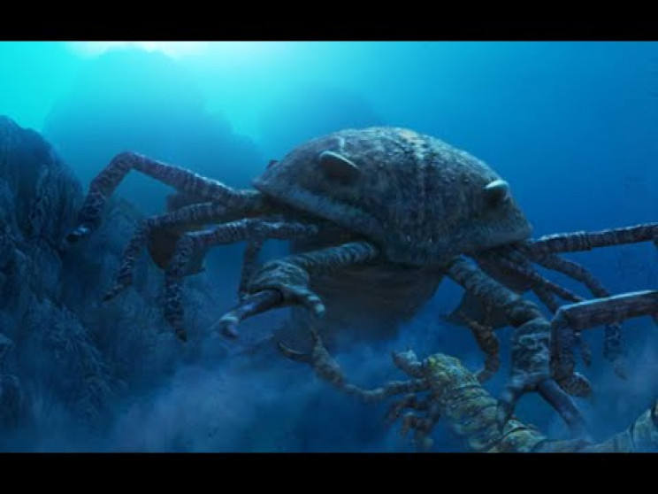 species lifespan mass extinctions
