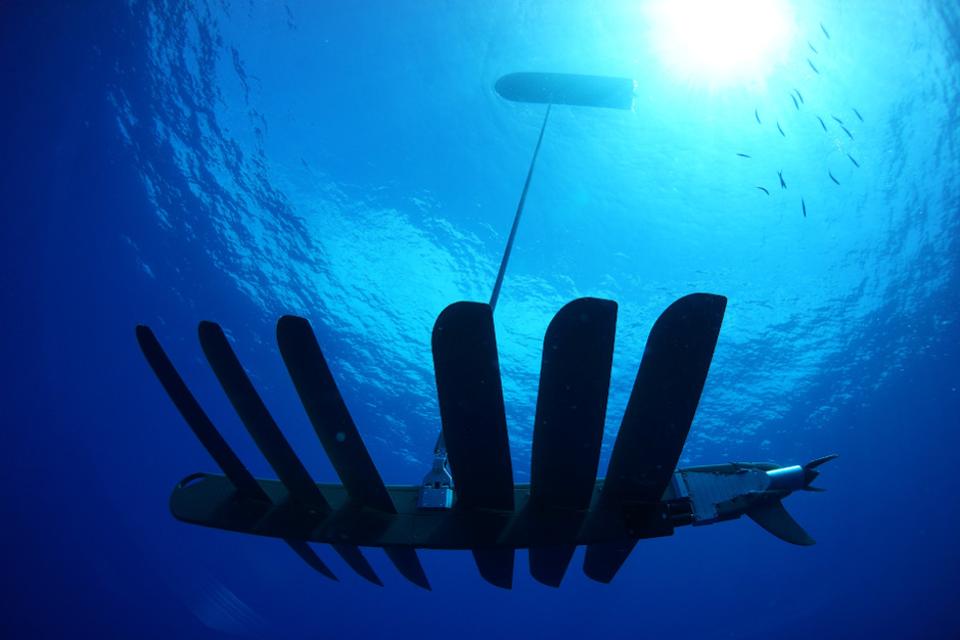 Mystery of the Unmanned Surface Vessel in Florida Shore Solved Mystery of the Unmanned Surface Vessel in Florida Shore Solved