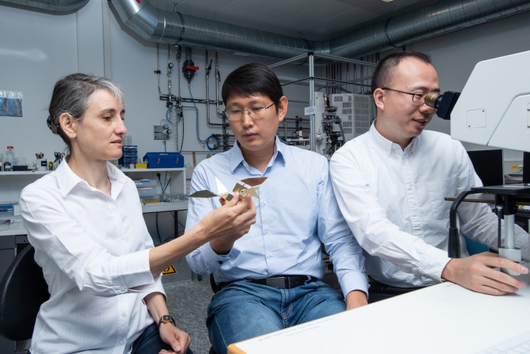 Researchers Create Microbots That Can Navigate Human Blood Vessels Researchers Create Microbots That Can Navigate Human Blood Vessels