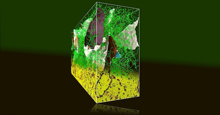 科学家解决了已有100年历史的冶金难题,揭示折叠金属如何变硬 1 科学家解决了已有100年历史的冶金难题,揭示折叠金属如何变硬