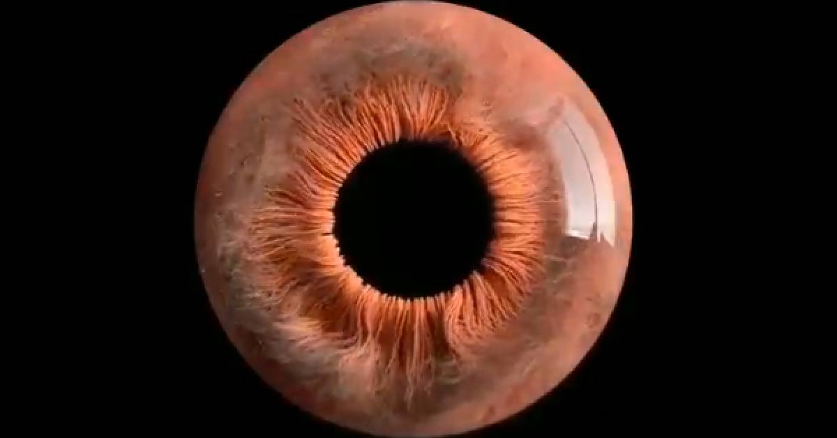 No, Your Eye Doesn't Look Like This Under Microscope