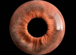 No, Your Eye Doesn't Look Like This Under Microscope