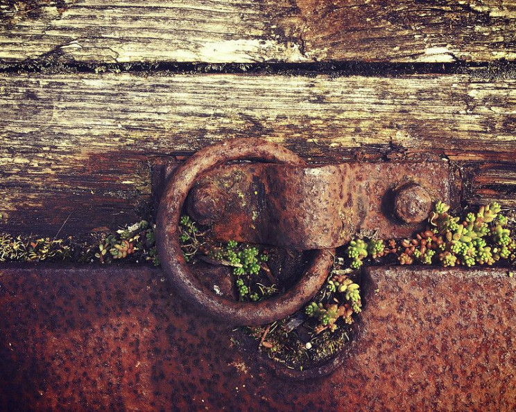 software engineering trends Rust