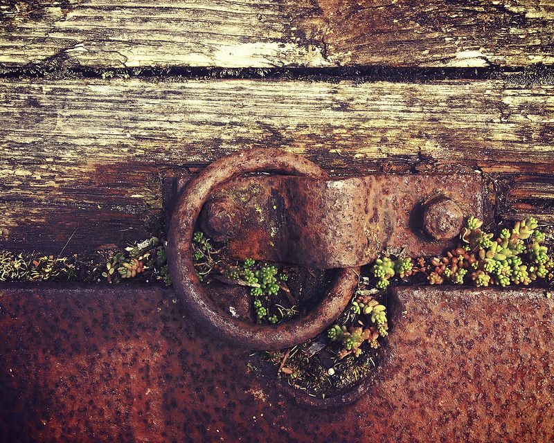 software engineering trends Rust