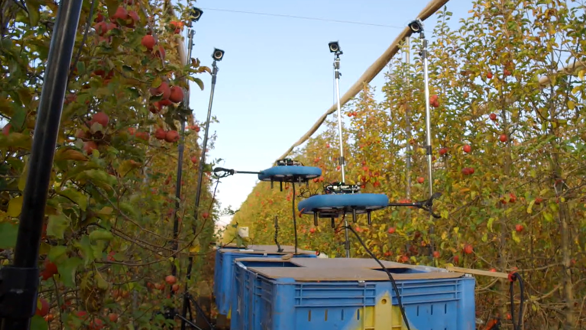 Flying Autonomous Robot Uses AI to Identify and Pick Ripe Fruit Flying Autonomous Robot Uses AI to Identify and Pick Ripe Fruit