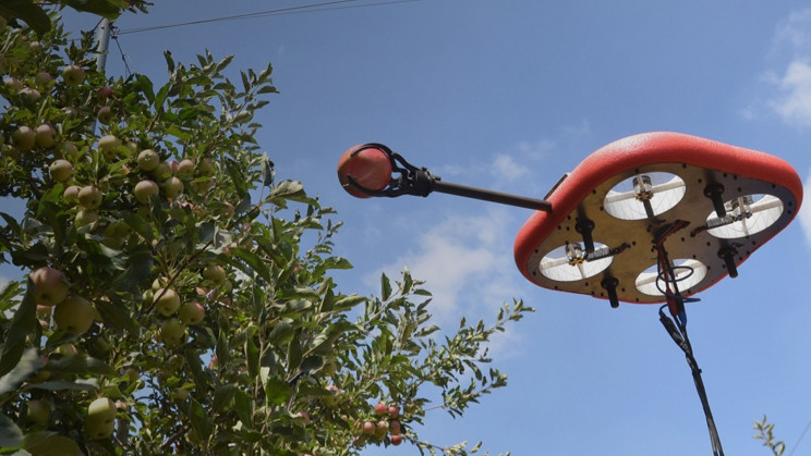 Flying Autonomous Robot Uses AI to Identify and Pick Ripe Fruit