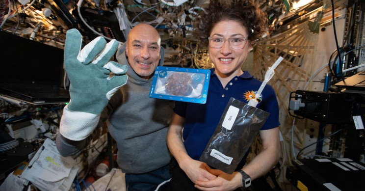 Astronauts Baked Cookies in Space and Were Surprised at How Long It Took