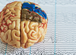 While You're Sound Asleep, Your Brain Removes 'Unnecessary' Memories