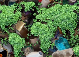 Evreka! There's a Solution for Smart Waste Collection Management in Smart Cities