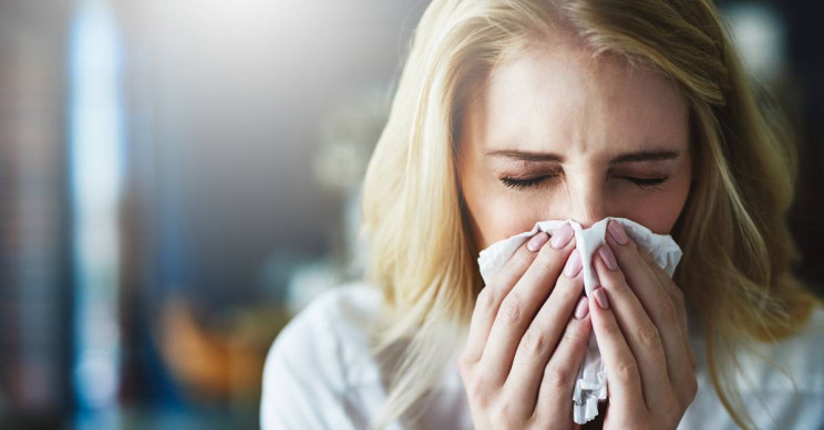 Novel Flu Treatment Works Against All Influenza Virus Strains