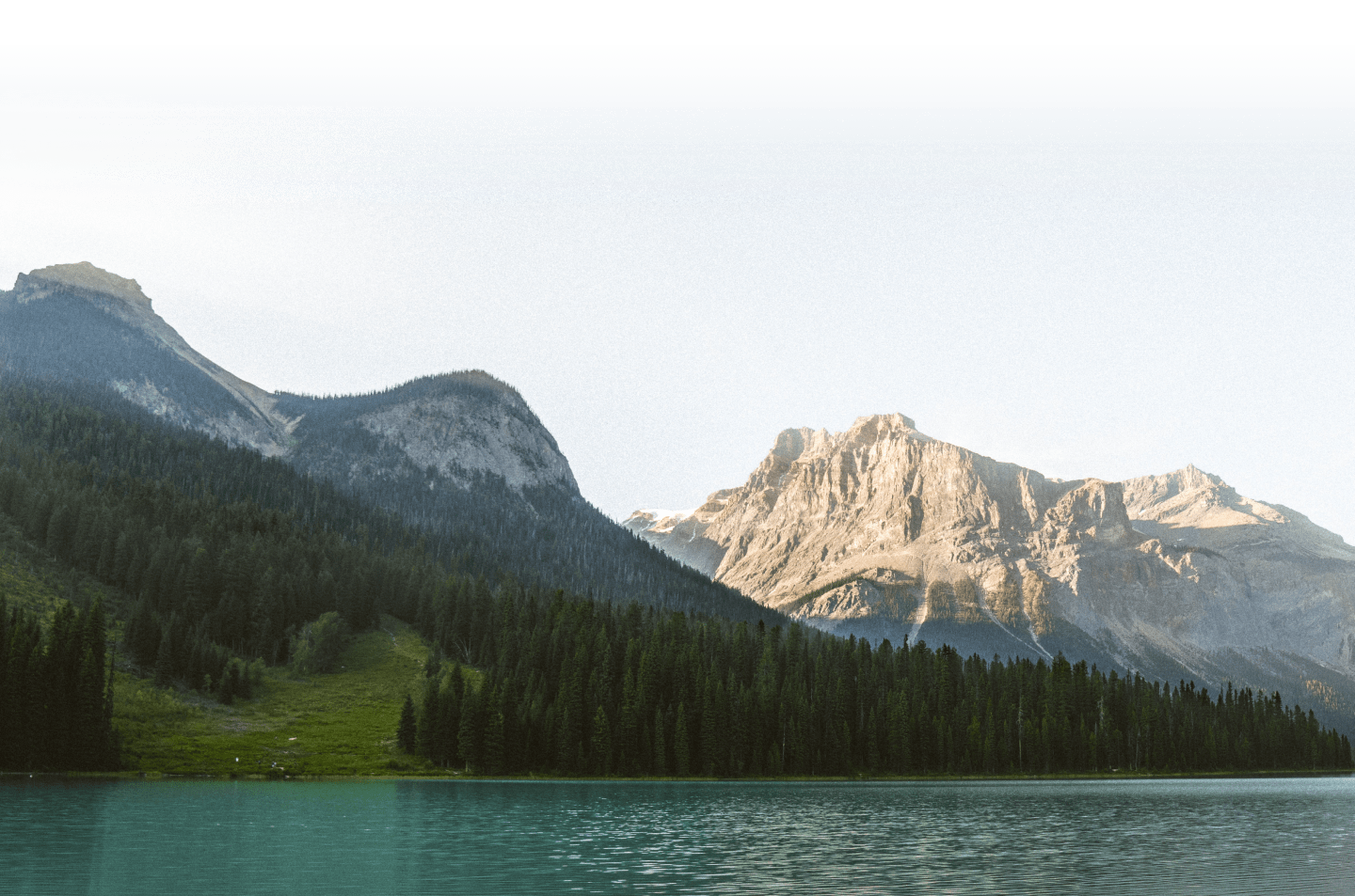 Is Climate Restoration the Key to Stopping Climate Change? Is Climate Restoration the Key to Stopping Climate Change?