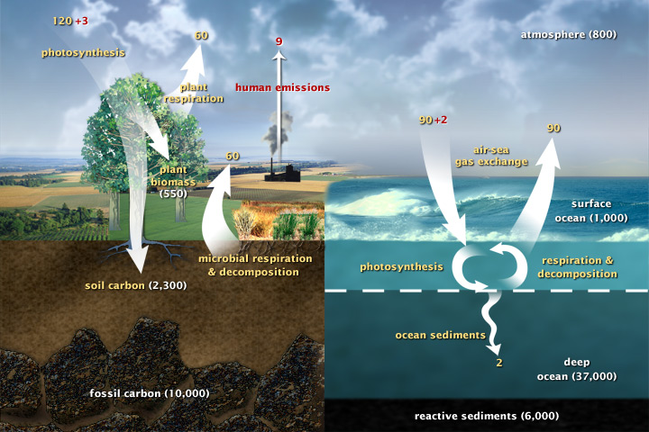 Is Climate Restoration the Key to Stopping Climate Change? Is Climate Restoration the Key to Stopping Climate Change?