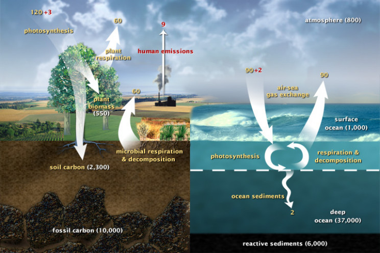 Is Climate Restoration the Key to Stopping Climate Change? Is Climate Restoration the Key to Stopping Climate Change?