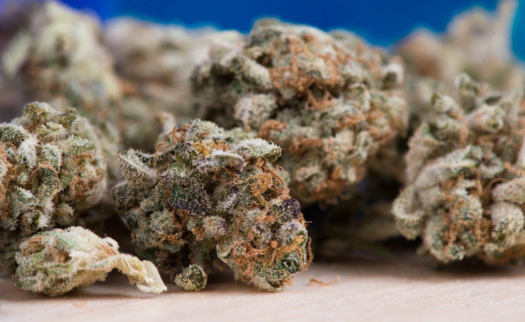 Medical Marijuana Now Available for Anxiety Disorders in Pennsylvania