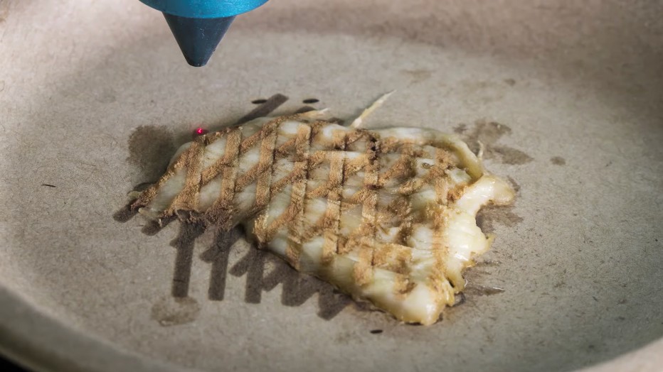 Rubbery Chicken? Scientists Say Cook It With Lasers Instead Rubbery Chicken? Scientists Say Cook It With Lasers Instead