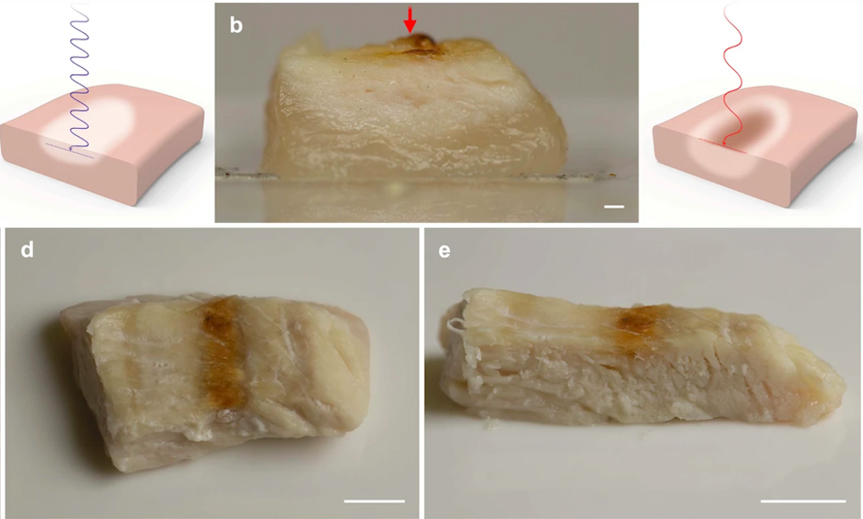 Rubbery Chicken? Scientists Say Cook It With Lasers Instead Rubbery Chicken? Scientists Say Cook It With Lasers Instead