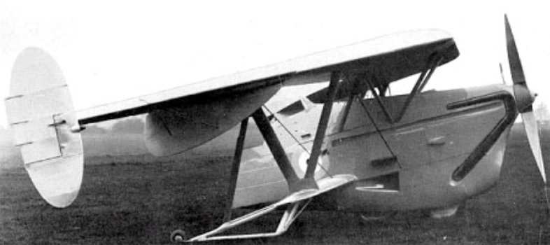 weird aircraft pterodactyl IV