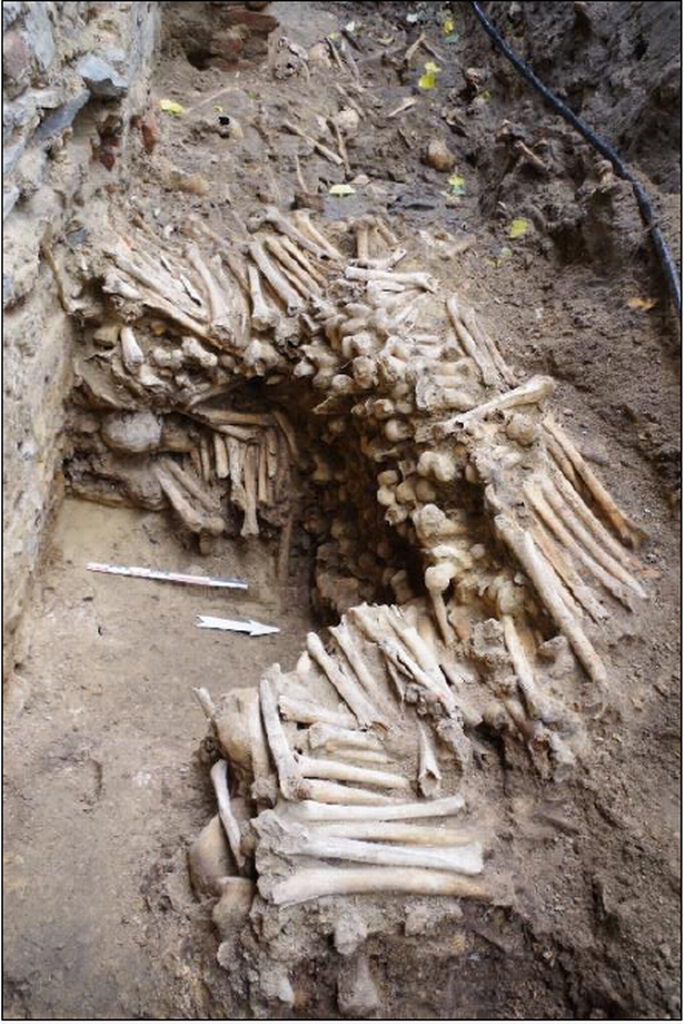 Researchers Discover Creepy Medieval Wall Made Of Human Bones in Belgium Researchers Discover Creepy Medieval Wall Made Of Human Bones in Belgium