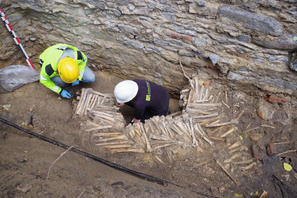 Researchers Discover Creepy Medieval Wall Made Of Human Bones in Belgium Researchers Discover Creepy Medieval Wall Made Of Human Bones in Belgium