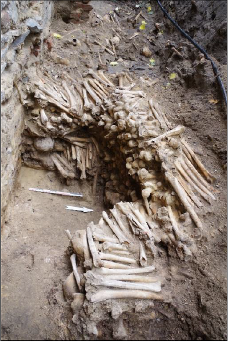 Researchers Discover Creepy Medieval Wall Made Of Human Bones in Belgium Researchers Discover Creepy Medieval Wall Made Of Human Bones in Belgium