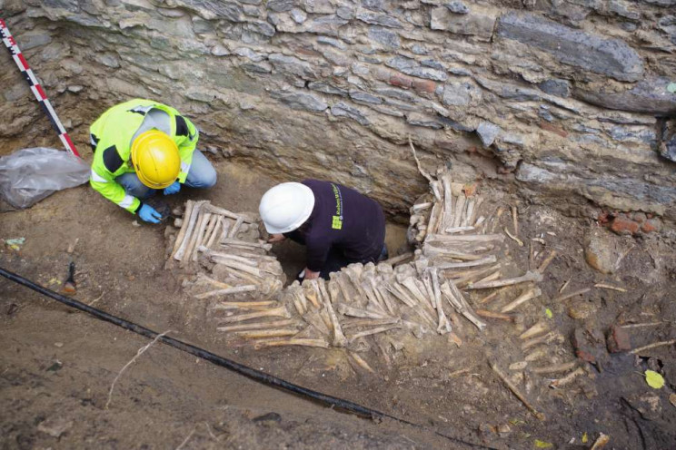 Researchers Discover Creepy Medieval Wall Made Of Human Bones in Belgium Researchers Discover Creepy Medieval Wall Made Of Human Bones in Belgium