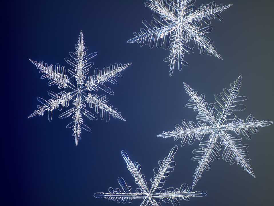 Captivating High-Res Snowflake Images Are Jaw Dropping Captivating High-Res Snowflake Images Are Jaw Dropping