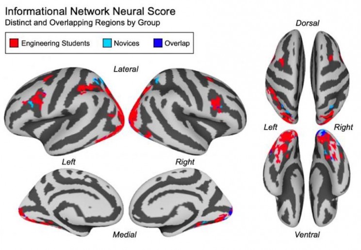 Researchers Can Use Brain Activity to Measure How Well You Understand a Concept
