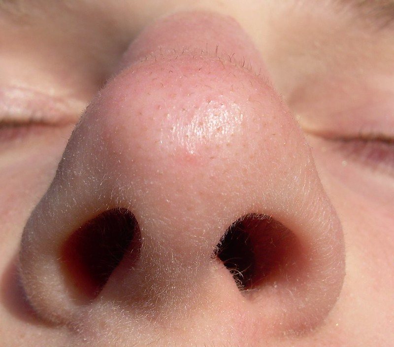 coronavirus myths nose