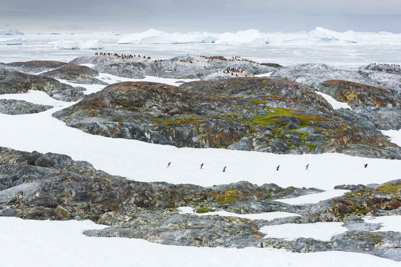13+ Must-See Photographs From Nature Photographer of the Year 2020 13+ Must-See Photographs From Nature Photographer of the Year 2020