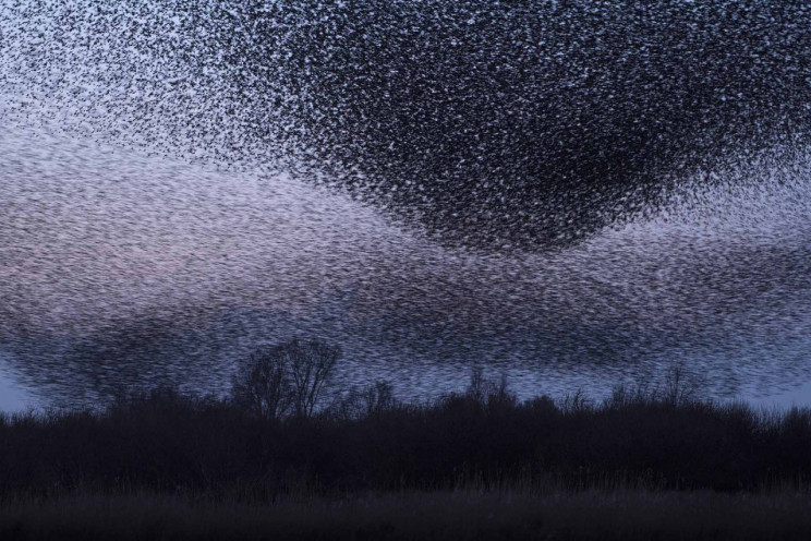 13+ Must-See Photographs From Nature Photographer of the Year 2020 13+ Must-See Photographs From Nature Photographer of the Year 2020