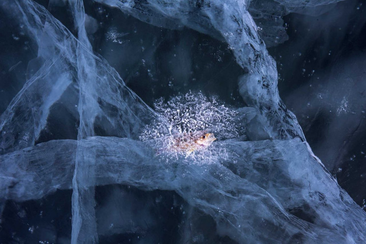 13+ Must-See Photographs From Nature Photographer of the Year 2020 13+ Must-See Photographs From Nature Photographer of the Year 2020