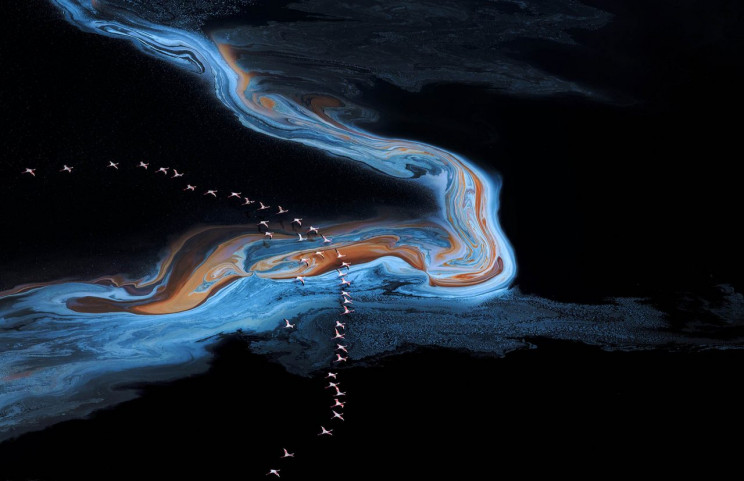 13+ Must-See Photographs From Nature Photographer of the Year 2020 13+ Must-See Photographs From Nature Photographer of the Year 2020