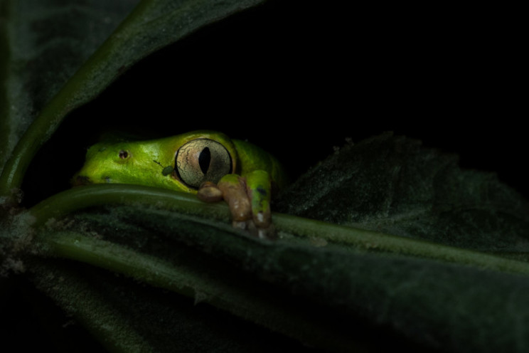 13+ Must-See Photographs From Nature Photographer of the Year 2020 13+ Must-See Photographs From Nature Photographer of the Year 2020