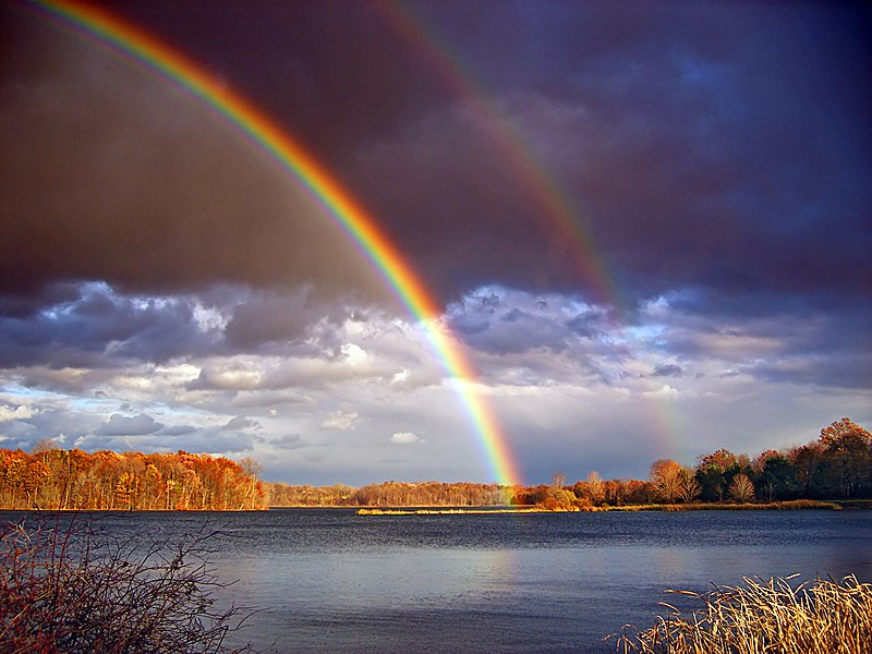 The Strangest Atmospheric Phenomena: From Moon Halos to a Green Flashes The Strangest Atmospheric Phenomena: From Moon Halos to a Green Flashes