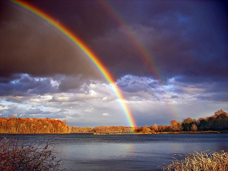 The Strangest Atmospheric Phenomena: From Moon Halos to a Green Flashes The Strangest Atmospheric Phenomena: From Moon Halos to a Green Flashes