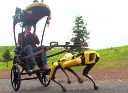 Robodog Drags "Mythbusters" Co-Host Adam Savage Around in Rickshaw